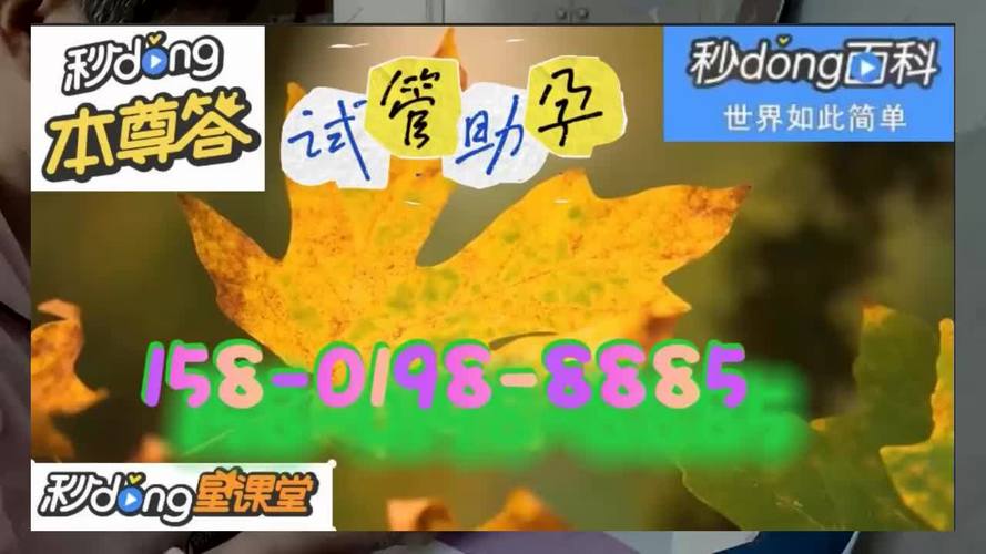 供卵价位是多少地下(地下供卵：价格究竟是多少？)
