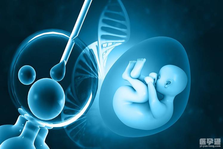供卵生子是自己的孩子吗【供卵生子后，孩子是自己的吗？】