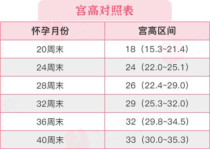 国内借卵试管代怀明细(国内借卵试管代怀费用明细解析)