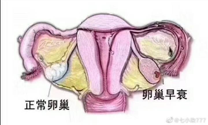 供卵自怀到底好不好-供卵自怀:值得吗?