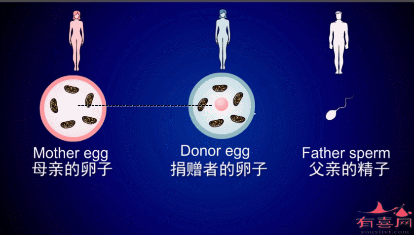 供卵试管全包试管代怀(供卵试管全包，代怀中心)