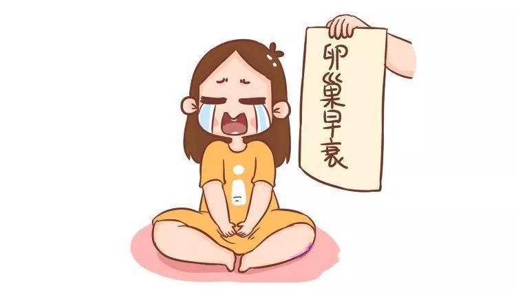 供卵试管医院不成功不收费_供卵试管医院不成功不收费服务