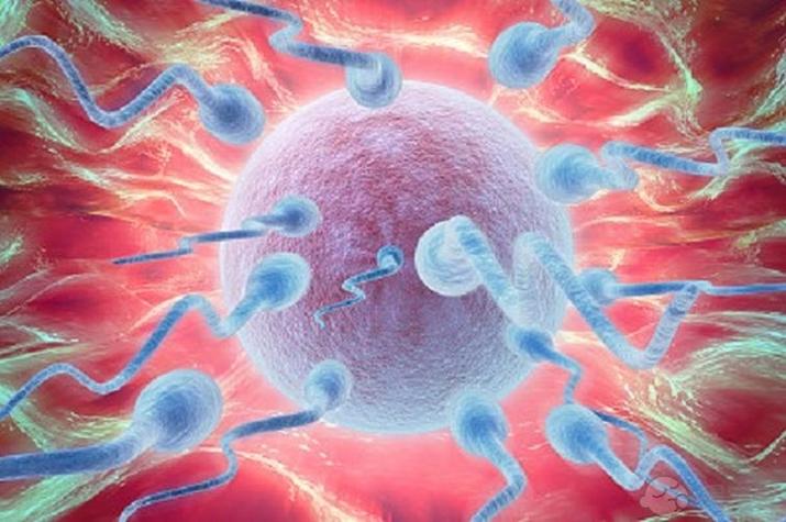 供卵代生男孩-供卵代生：实现梦想的男孩