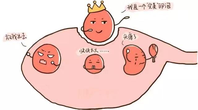 供卵女孩多少基础卵泡数较好【供卵女孩基础卵泡数多少才算较好？】