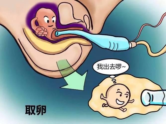 国内借卵试管代怀安全吗_国内借卵试管代怀安全吗？需要了解的安全问题大揭秘