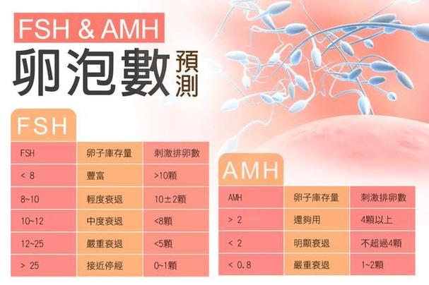 供卵受孕大概需要多少钱呢_供卵受孕需要多少钱呢？