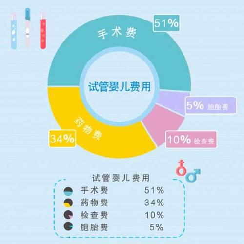 供卵试管代怀安全吗_供卵试管代怀安全吗?一探安全与风险