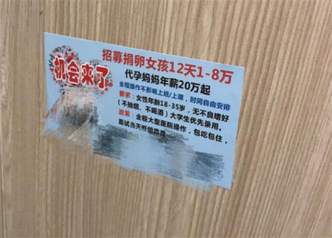 供卵违法吗【供卵违法吗?法律如何规定?】