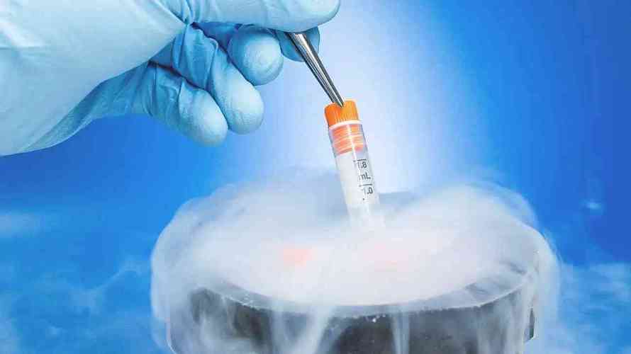 供卵试管婴儿多少钱_供卵试管婴儿费用一览